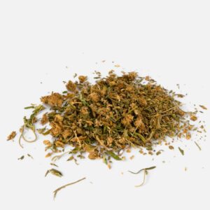CBG-hampa Santhica 70 buds